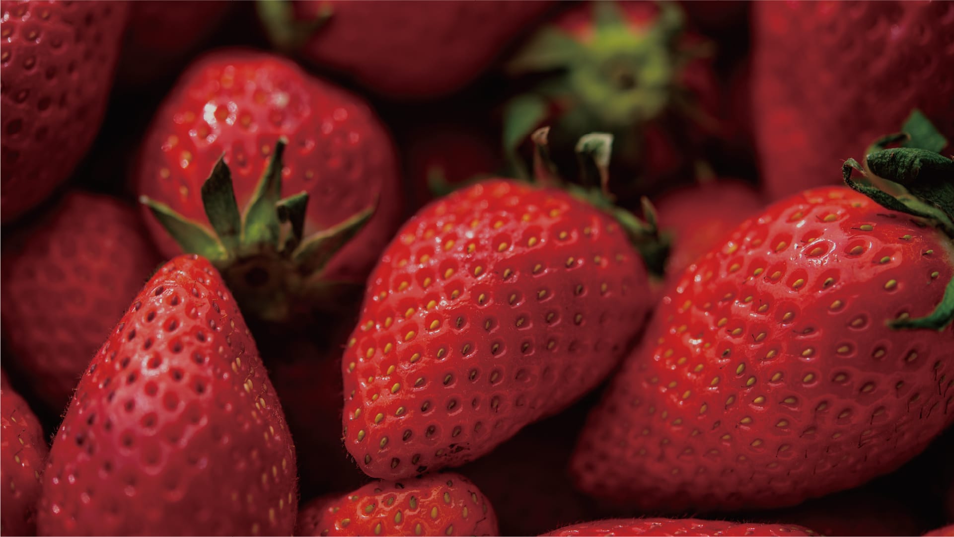 FARMAS PREMIUM STRAWBERRIES