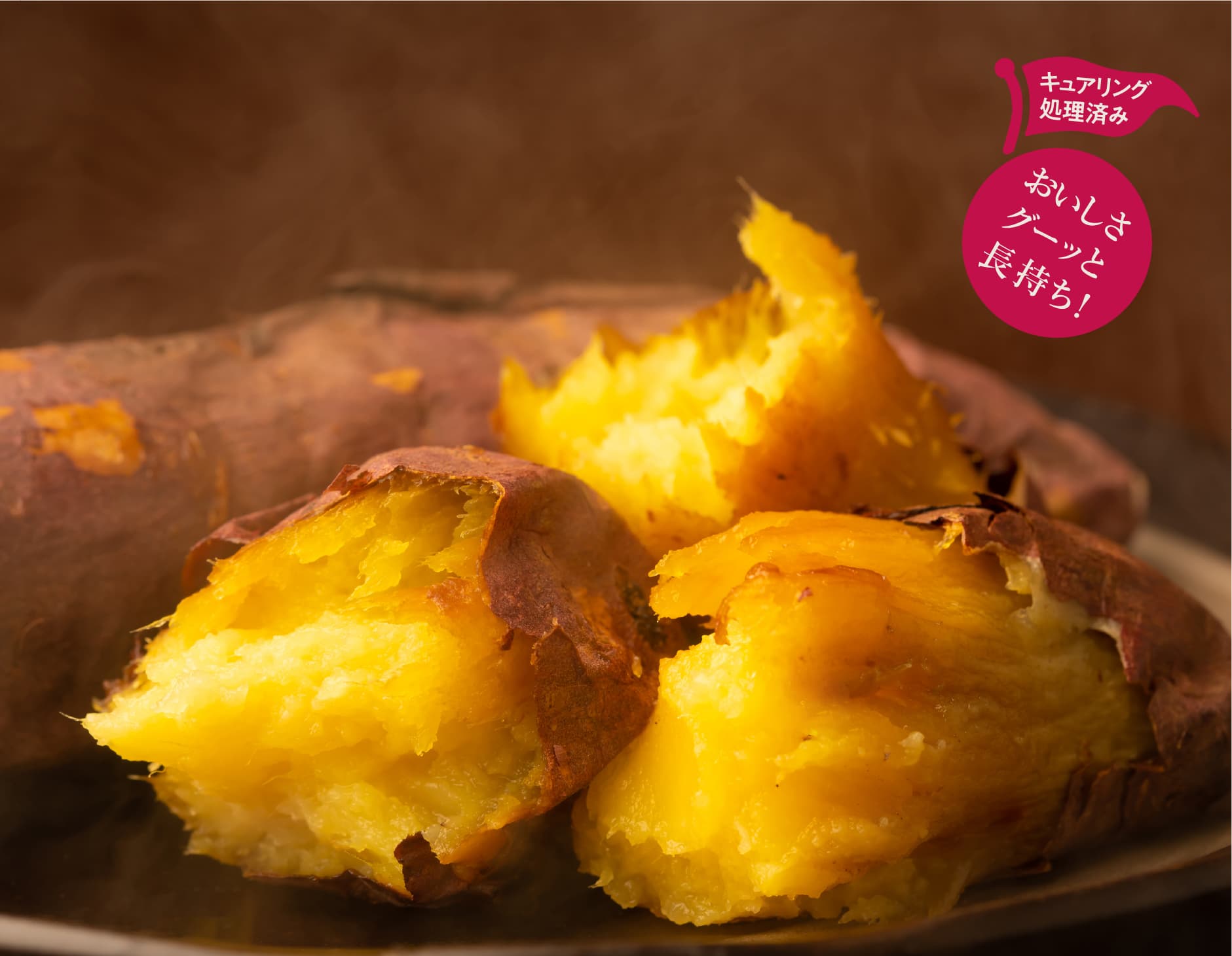 いちごの栽培の様子