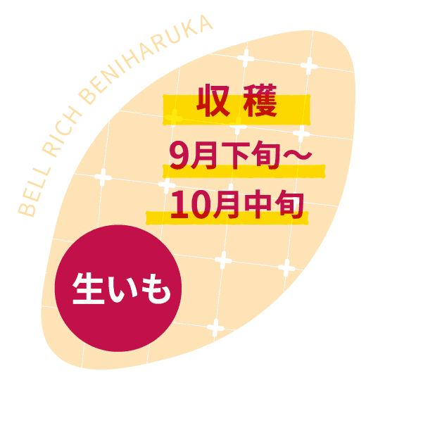 FARMERS PREMIUM BLESSINGS