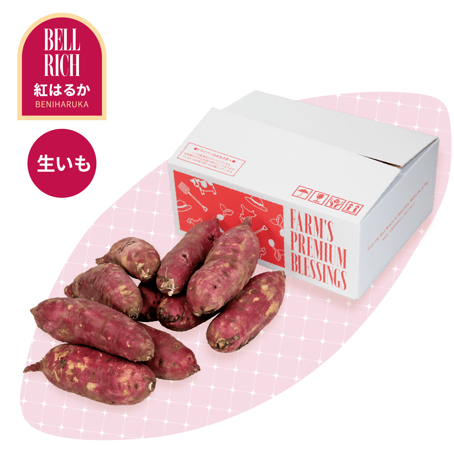 いちごの栽培の様子