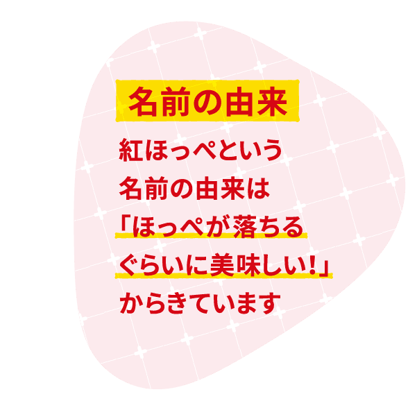 名前の由来