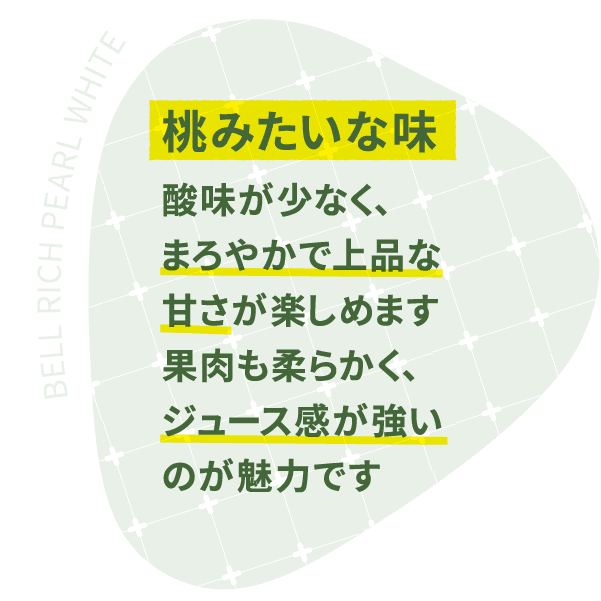 桃みたいな味