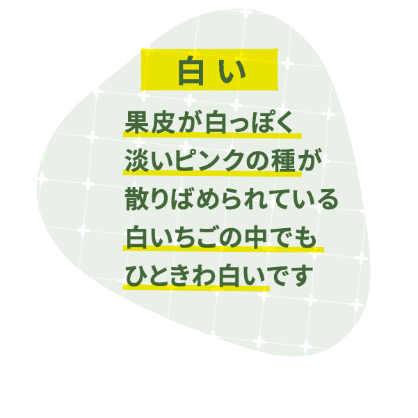 白い